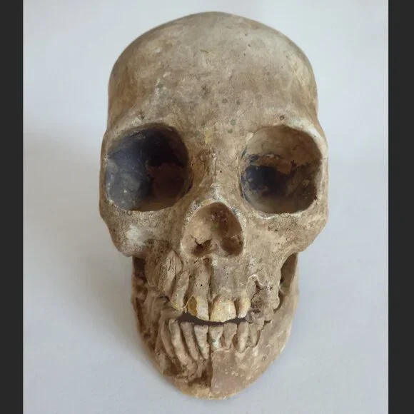 2006 DISNEY PIRATES OF THE CARIBBEAN OFFICIAL MOVIE FILM PROP PELEGOSTO SKULL - Picture 5 of 15